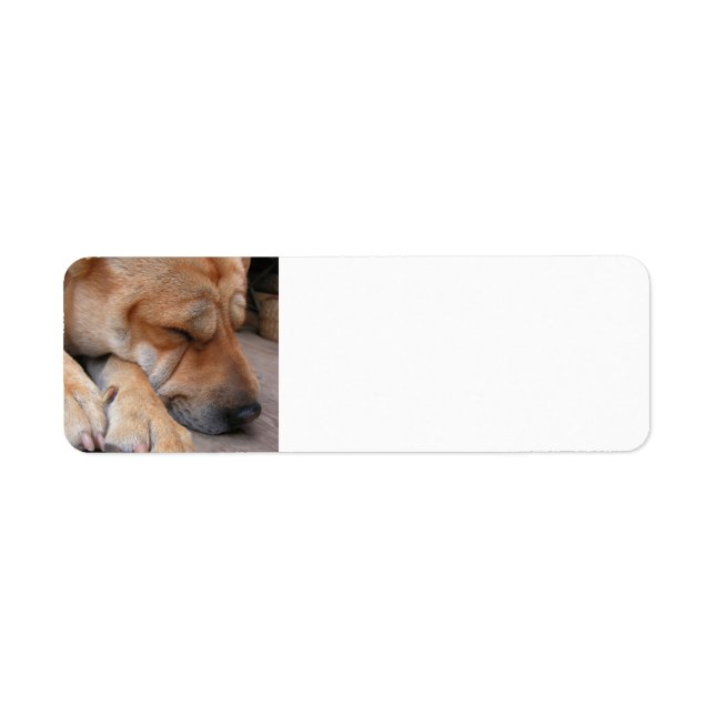 Etiqueta shar pei sleep.png (Frente)