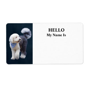 Etiqueta Sheepadoodle con bufanda azul a cuadros