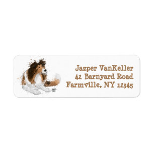 Etiqueta Sheldon the Sheltie