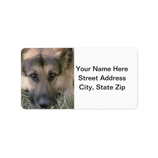 Etiqueta Shepard alemán (Frente)