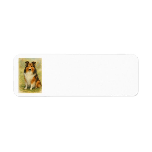 Etiqueta Shetland Sheepdog Sentado Acuarela  (Frente)
