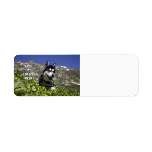 Etiqueta siberian husky black and white love w pic (Frente)