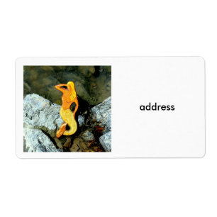 Etiqueta sirena rubia posando