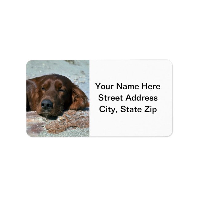 Etiqueta Sleeping Irish Setter (Frente)