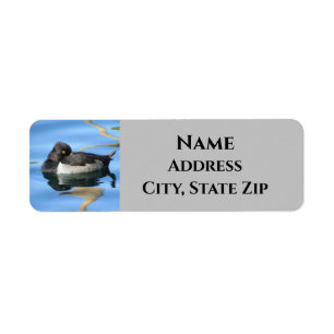 Etiqueta Sleepy Black White Duck Photo Reflation Nature