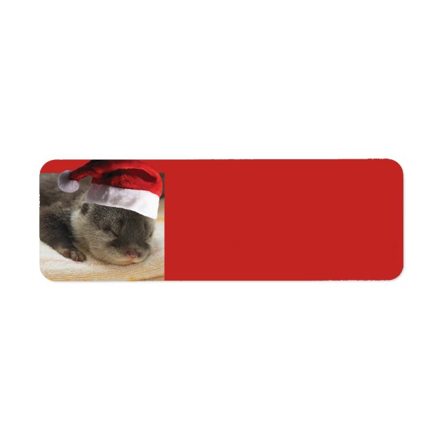 Etiqueta Sleepy Otter Santa Claus (Frente)