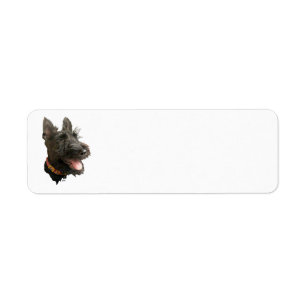 Etiqueta Smiling Scottish Terrier
