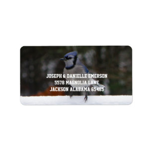 Etiqueta Snowy Day Blue Jay Address Labels