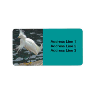 Etiqueta Snowy Egret Label