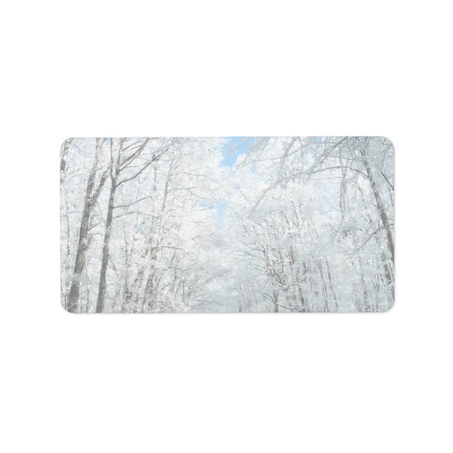 Etiqueta Snowy Winter Road Scene (Frente)