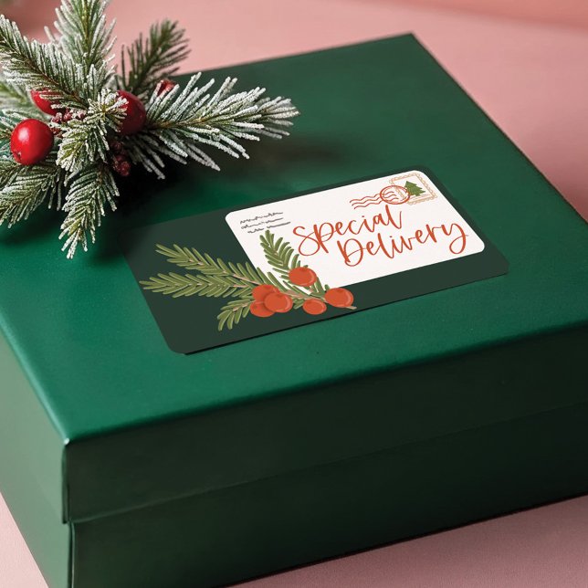 Etiqueta Sobre especial de entrega festivo (Festive Special Delivery Postage Envelope Label)