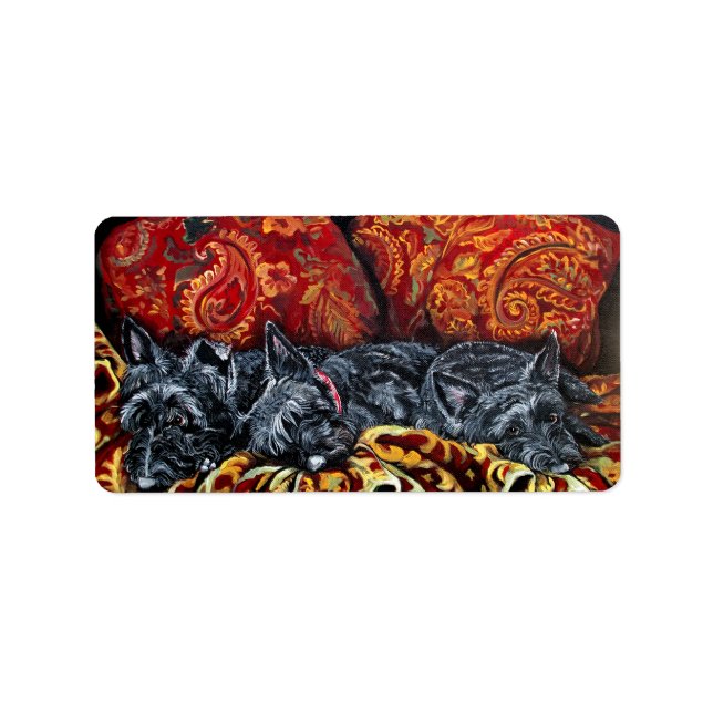 Etiqueta Sofa del Territorio de Escocia (Frente)