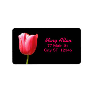 Etiqueta Sola floración elegante del tulipán