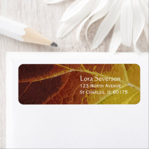 Etiqueta Sombras de la dirección de retorno de hoja de otoñ