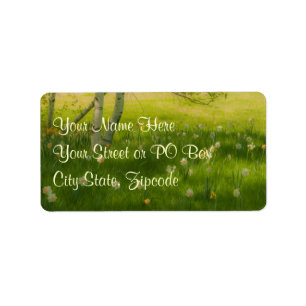 Etiqueta Spring Daffodils