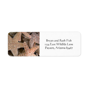 Etiqueta Starfish por todas partes