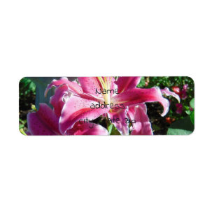 Etiqueta stargazer lilies