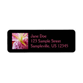 Etiqueta Stargazer Lily Bright Magenta Floral