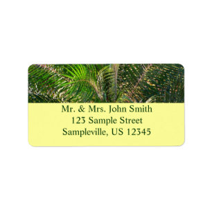 Etiqueta Sunset Lit Palm Fronds Tropical