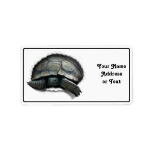 ETIQUETA ¡SURGE LA TORTURA DEL DESIERTO!