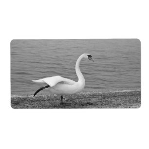 Etiqueta Swan bailarín