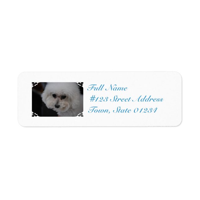 Etiqueta Sweet Bichon Frise (Frente)