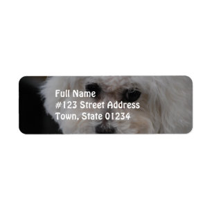 Etiqueta Sweet Bichon Frise