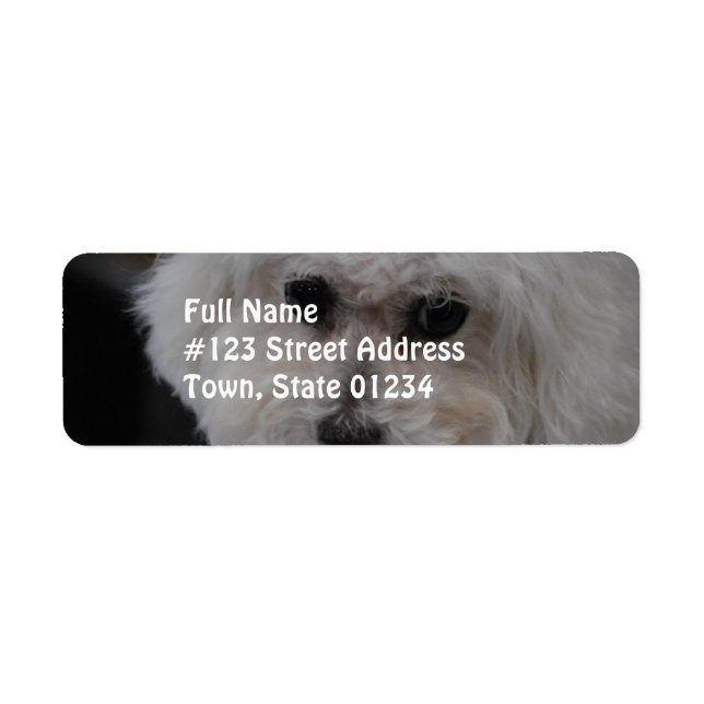 Etiqueta Sweet Bichon Frise (Frente)