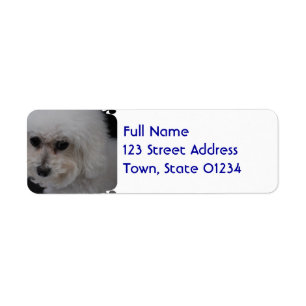 Etiqueta Sweet Bichon Frise