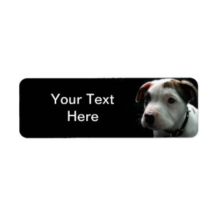 Etiqueta T-Hueso del pitbull del perrito