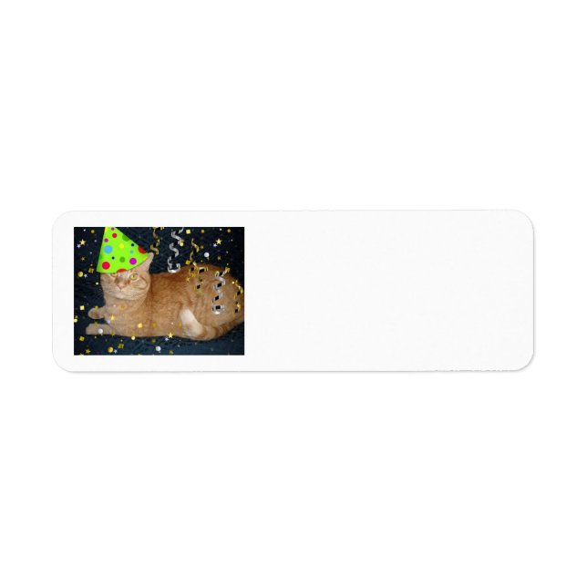 Etiqueta Tabby Cat Naranja de la fiesta de cumpleaños (Frente)