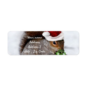 Etiqueta Tarjeta de la ardilla del navidad