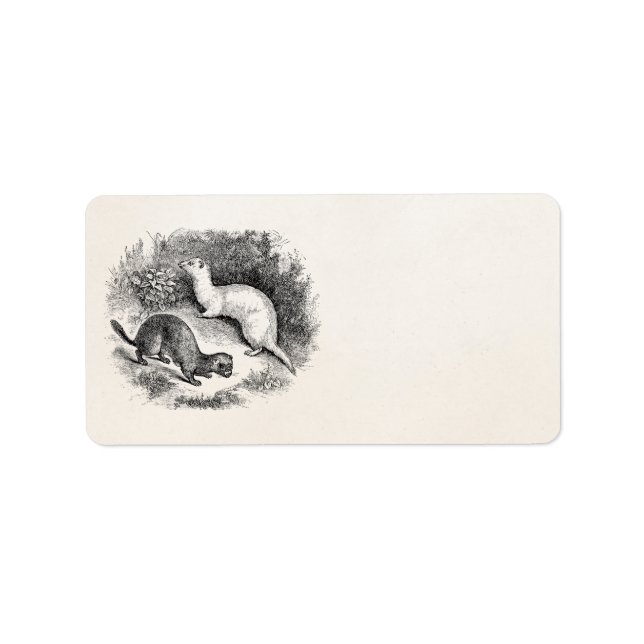 Etiqueta Tejidos de hiedra de 1800 (Frente)