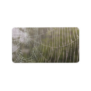 Etiqueta Telaraña de la araña