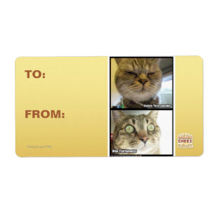 Etiqueta Termómetro