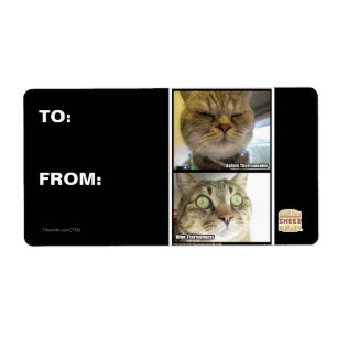 Etiqueta Termómetro