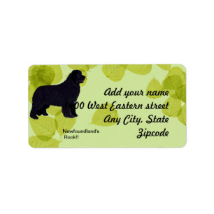 Etiqueta Terranova - Diseño de hojas verdes