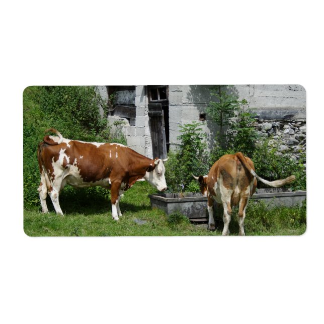 Etiqueta Thirsty Fleckvieh (Frente)