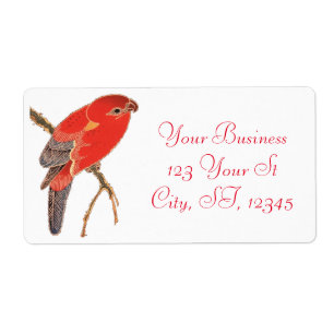 Etiqueta Thunder_Cove, loro rojo tropical