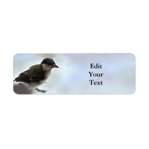 Etiqueta Tidi my Bird the Parus Major