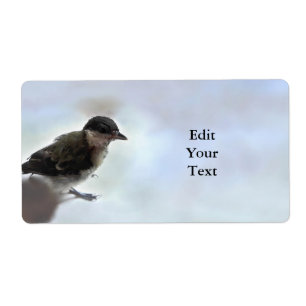 Etiqueta Tidi my Bird the Parus Major