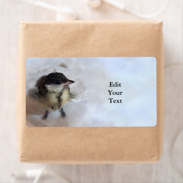 Etiqueta Tidi my Bird the Parus Major (In situ)