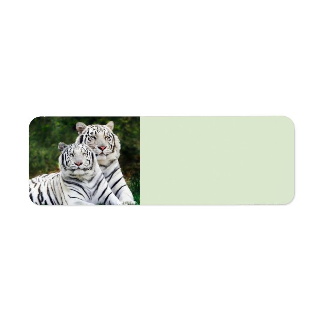 Etiqueta Tigres blancos (Frente)
