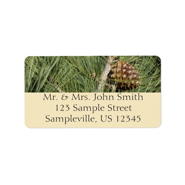 Etiqueta Torrey Pine Closeup California Botanical (Frente)