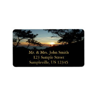 Torrey Pine Sunset III California