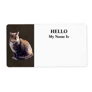 Etiqueta Tortoiseshell Cat