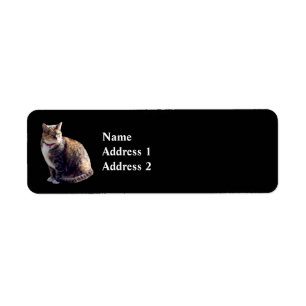 Etiqueta Tortoiseshell Cat