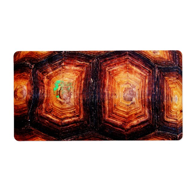 Etiqueta Tortoisse (Frente)