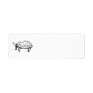 Etiqueta Tortuga