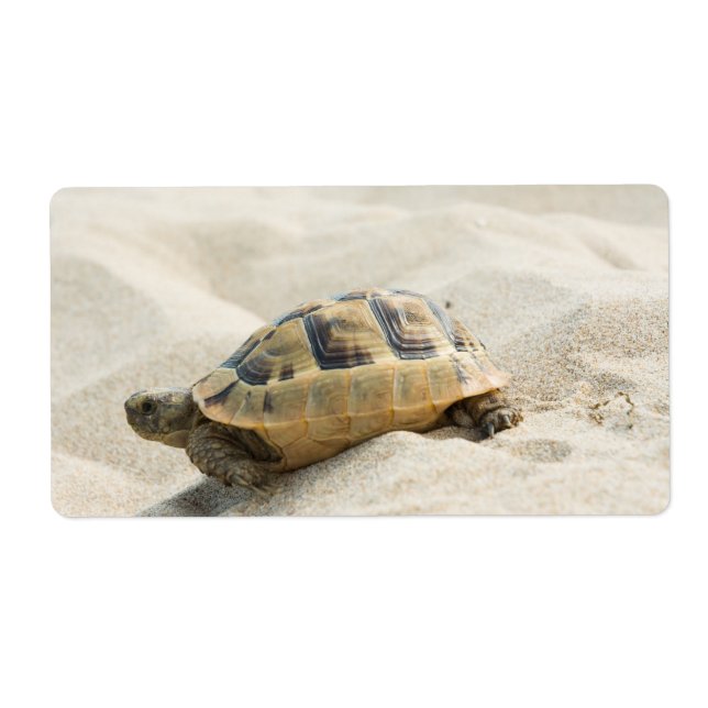 Etiqueta Tortuga (Frente)
